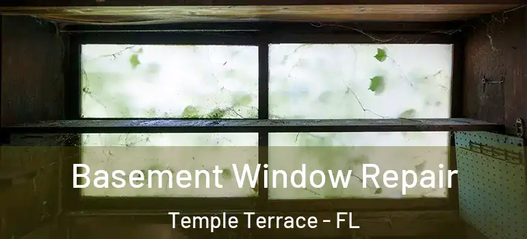 Basement Window Repair Temple Terrace - FL