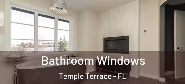 Bathroom Windows Temple Terrace - FL