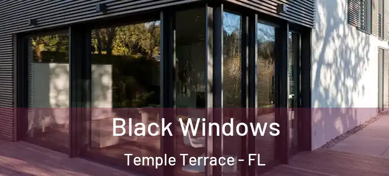 Black Windows Temple Terrace - FL