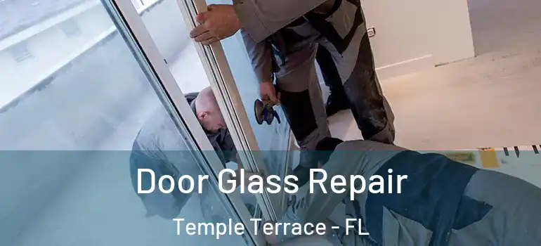 Door Glass Repair Temple Terrace - FL