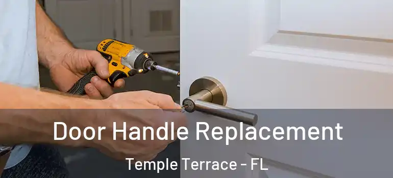  Door Handle Replacement Temple Terrace - FL