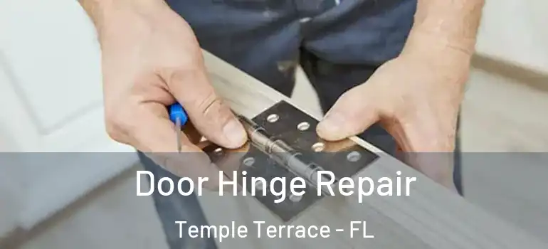  Door Hinge Repair Temple Terrace - FL