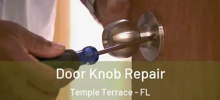 Door Knob Repair Temple Terrace - FL