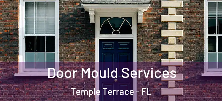 Door Mould Services Temple Terrace - FL