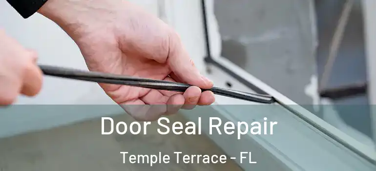  Door Seal Repair Temple Terrace - FL