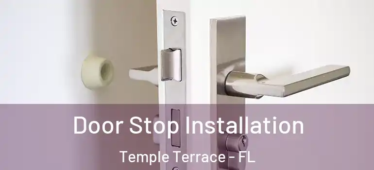 Door Stop Installation Temple Terrace - FL