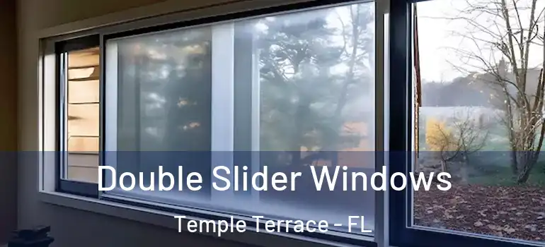  Double Slider Windows Temple Terrace - FL