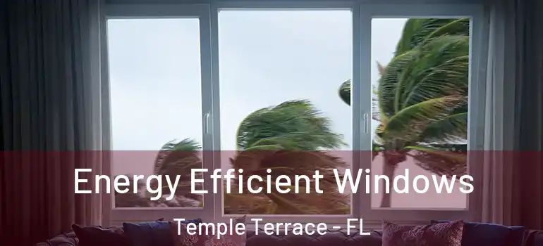 Energy Efficient Windows Temple Terrace - FL