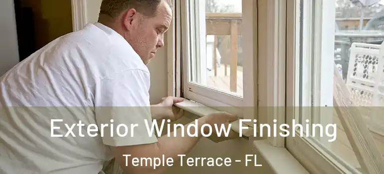Exterior Window Finishing Temple Terrace - FL
