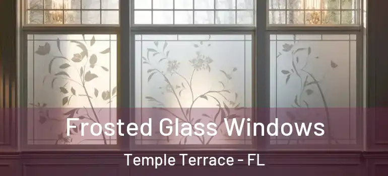 Frosted Glass Windows Temple Terrace - FL
