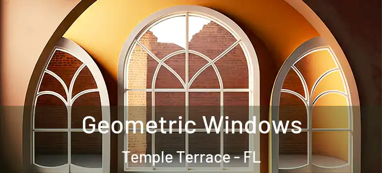 Geometric Windows Temple Terrace - FL