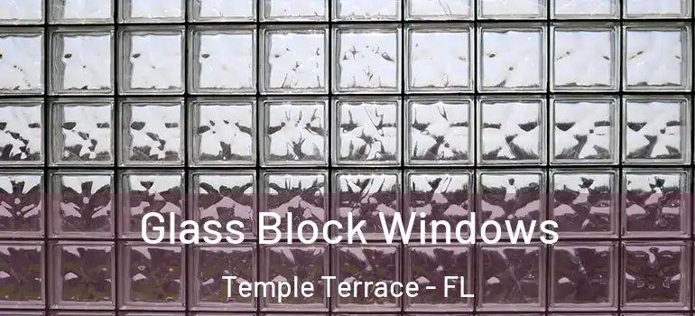 Glass Block Windows Temple Terrace - FL