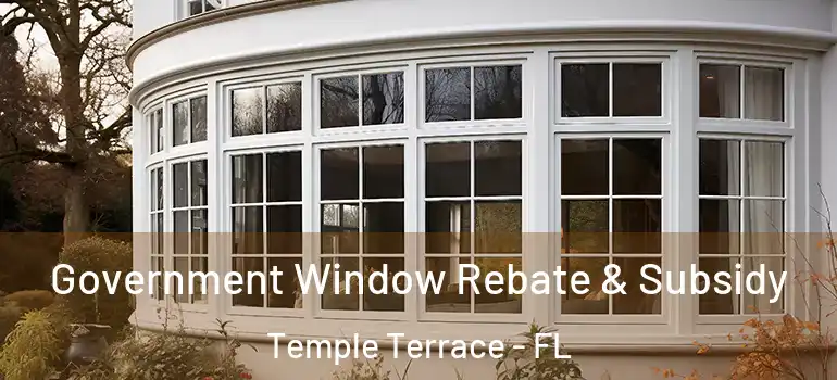 Government Window Rebate & Subsidy Temple Terrace - FL
