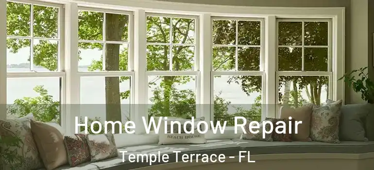 Home Window Repair Temple Terrace - FL