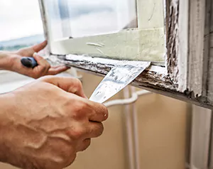 Professional Door and Windows Installation in Temple Terrace, FL