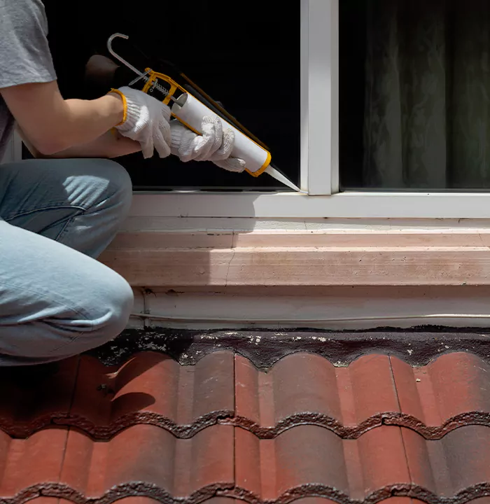 Roof Window Services in Temple Terrace, Florida