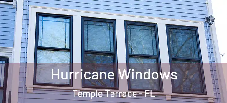 Hurricane Windows Temple Terrace - FL