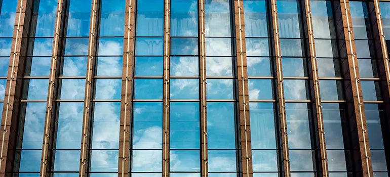 Professional Window Tinting Services in Temple Terrace, FL