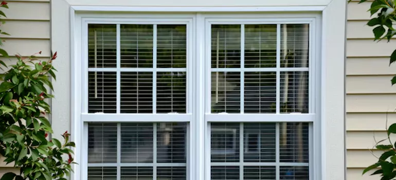 Custom Double Hung Windows in Temple Terrace, FL