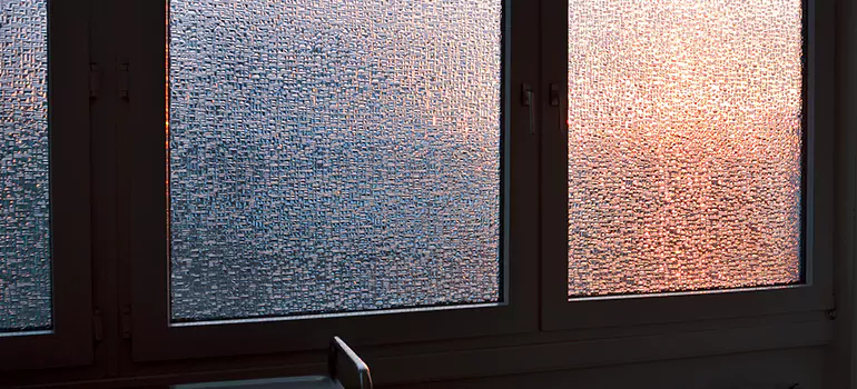 Frosted Glass Window Replacement in Temple Terrace, FL