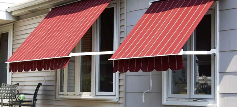 Government Rebate Window Replacement in Temple Terrace, FL