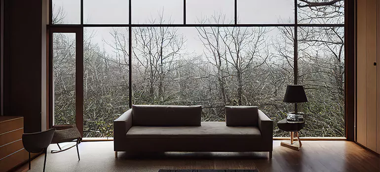 Casement Picture Window in Temple Terrace, FL