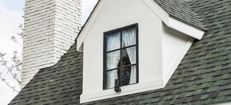 Roof Window Repair in Temple Terrace, FL