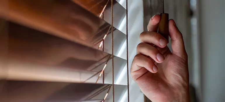 Double Roller Blinds in Temple Terrace, FL