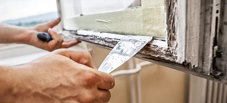 Exterior Window Frame Repair in Temple Terrace, FL