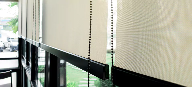 Blackout Window Shades in Temple Terrace, FL