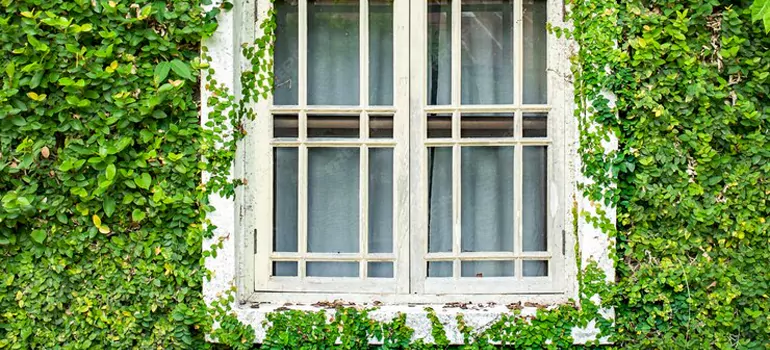 Garden Window Repair Near Me in Temple Terrace, FL