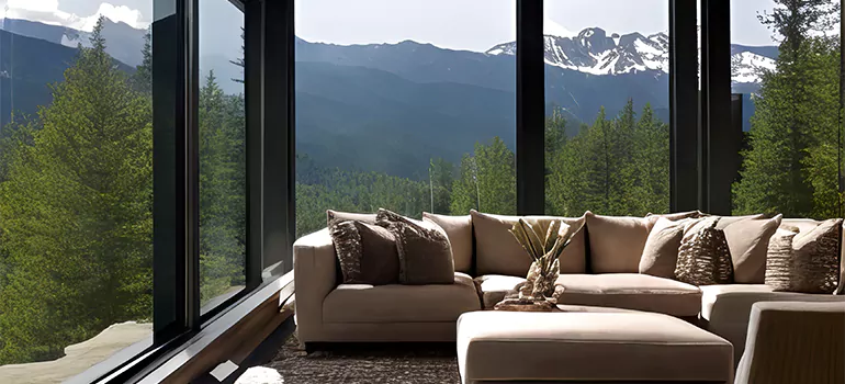 Picture Window Maintenance in Temple Terrace, FL