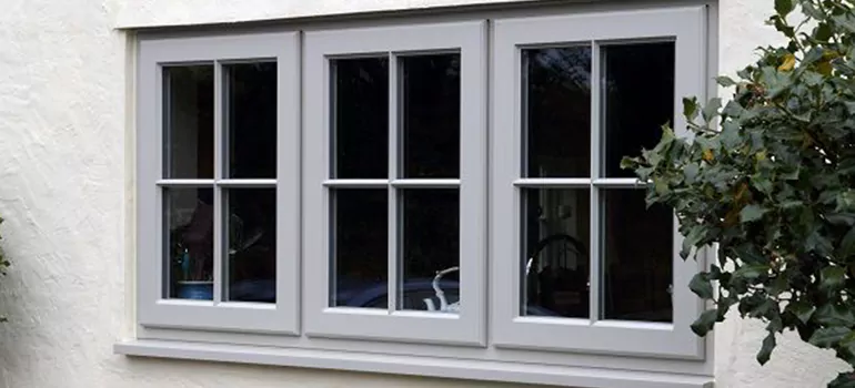 Stormproof Windows With Tinted Glass Services in Temple Terrace, FL