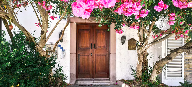 Traditional 4 Panel Internal Doors in Temple Terrace, FL