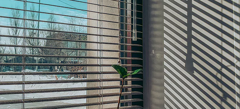 Commercial Window Blinds in Temple Terrace, FL