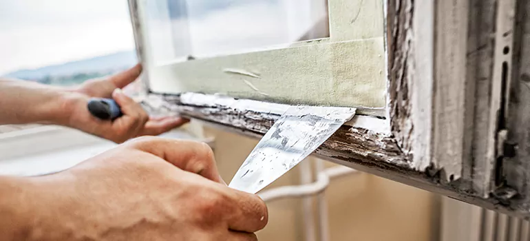 Custom Window Insulation Solutions in Temple Terrace, FL