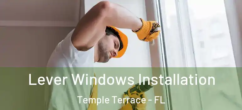Lever Windows Installation Temple Terrace - FL