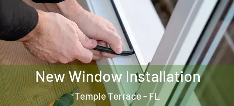 New Window Installation Temple Terrace - FL