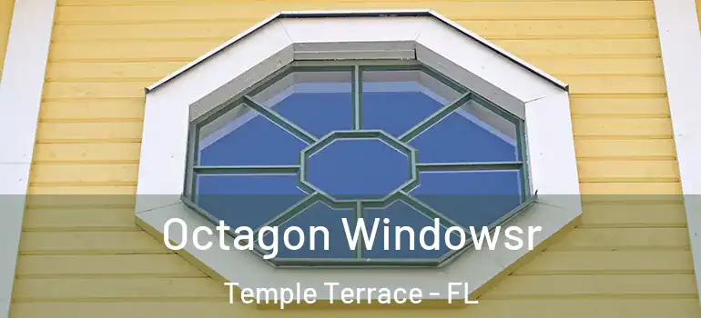 Octagon Windowsr Temple Terrace - FL