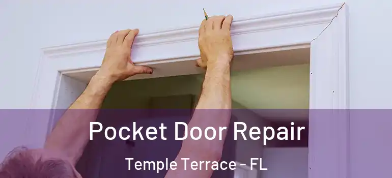 Pocket Door Repair Temple Terrace - FL