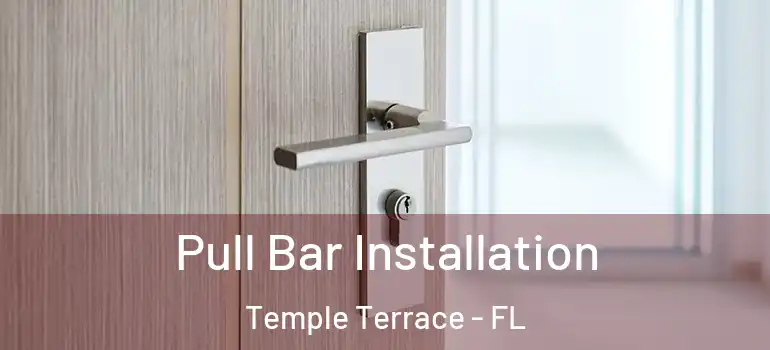  Pull Bar Installation Temple Terrace - FL
