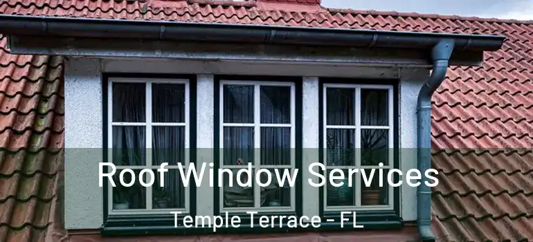 Roof Window Services Temple Terrace - FL