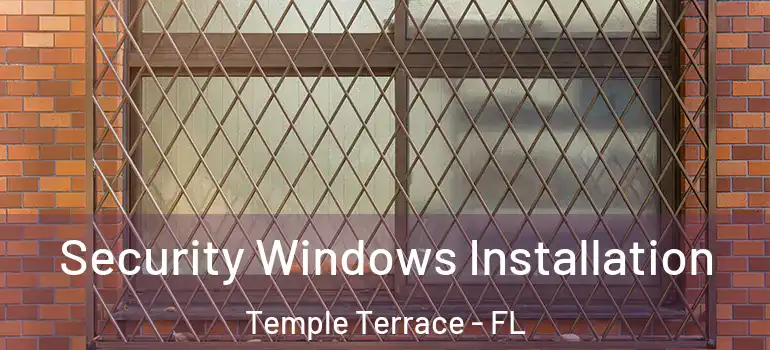 Security Windows Installation Temple Terrace - FL