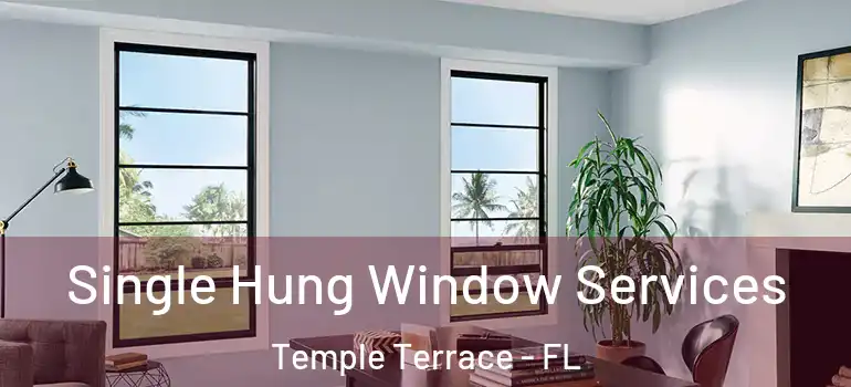Single Hung Window Services Temple Terrace - FL
