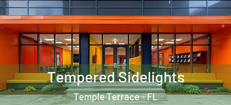 Tempered Sidelights Temple Terrace - FL