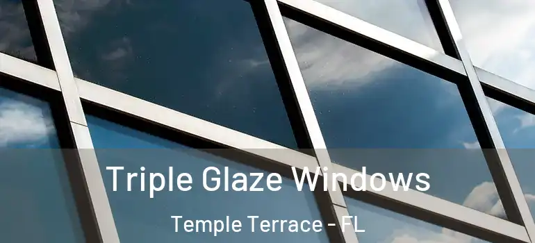 Triple Glaze Windows Temple Terrace - FL