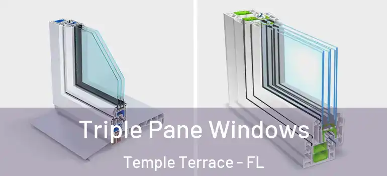  Triple Pane Windows Temple Terrace - FL