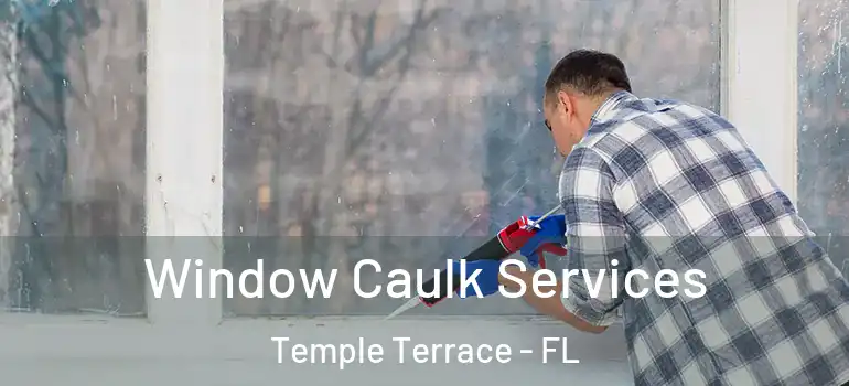 Window Caulk Services Temple Terrace - FL