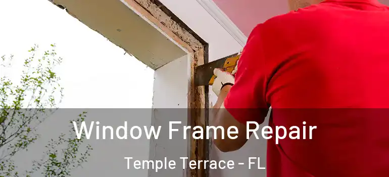 Window Frame Repair Temple Terrace - FL