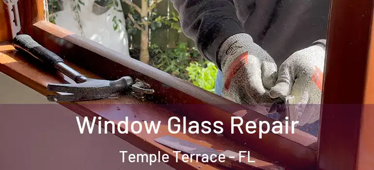 Window Glass Repair Temple Terrace - FL